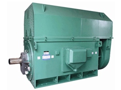 YJTGKK5601-8YKK系列高压电机
