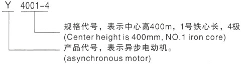 西安泰富西玛Y系列(H355-1000)高压YJTGKK5601-8三相异步电机型号说明